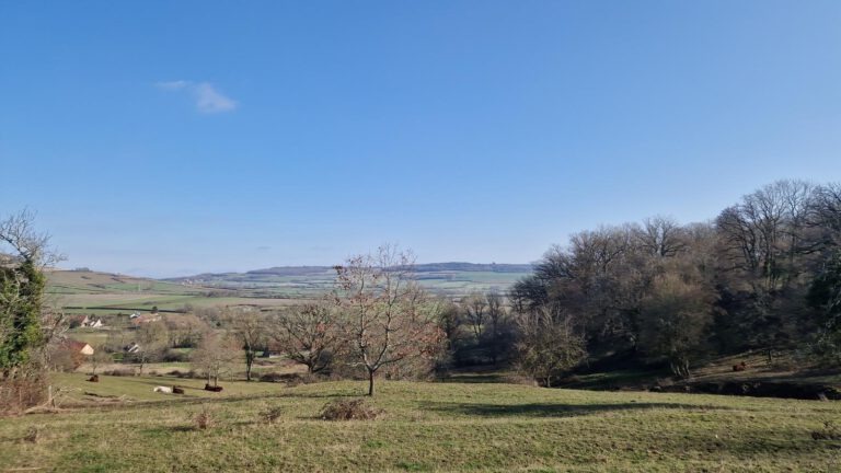 La Motte-Ternant