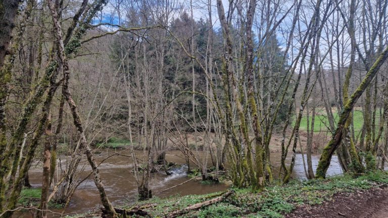 Moulin cadoux