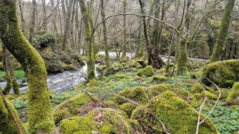 Moulin cadoux