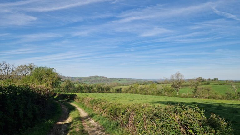 Quarré-les-Tombes la foret au Duc
