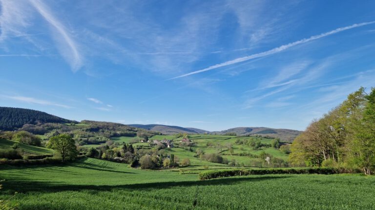 Quarré-les-Tombes la foret au Duc