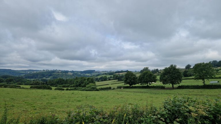 Saint-Léger-Vauban – Corvignot – Beauvilliers