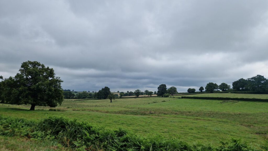 Saint-Léger-Vauban – Corvignot – Beauvilliers