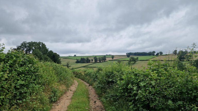 Saint-Léger-Vauban – Corvignot – Beauvilliers