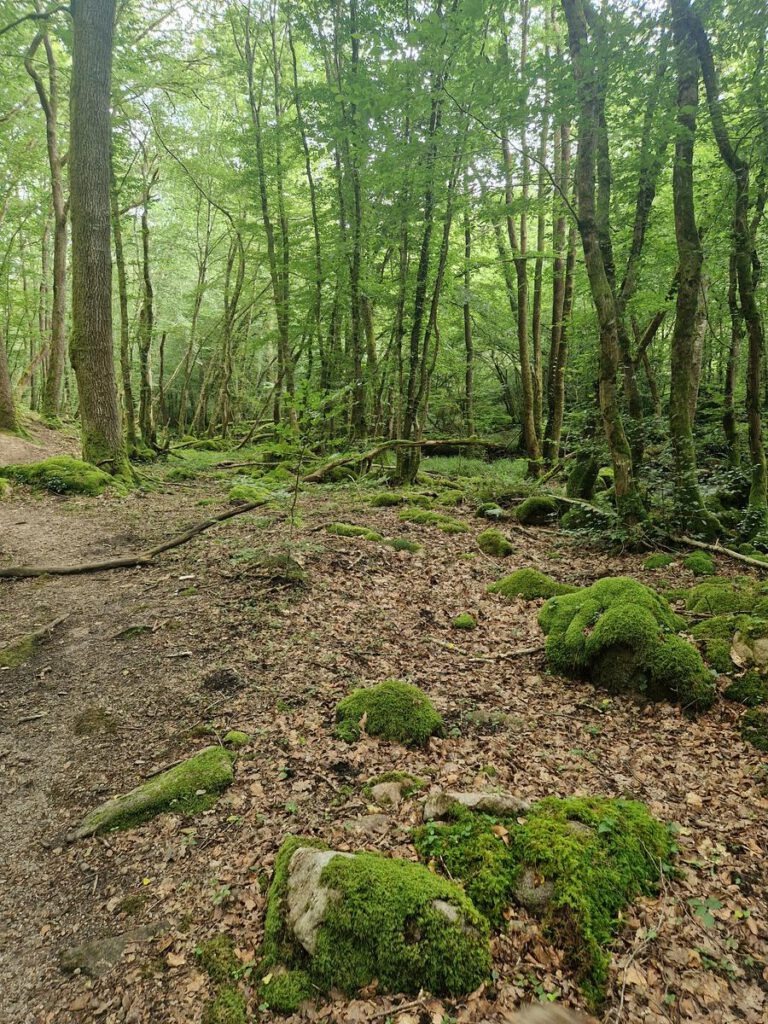 Saint-Léger-Vauban – Lac Saint-Agnan