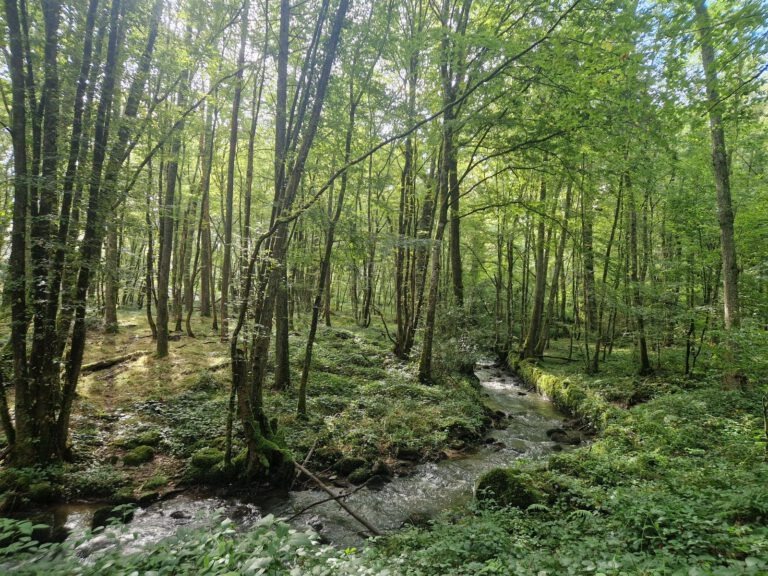 Marrault – Avallon – Marrault