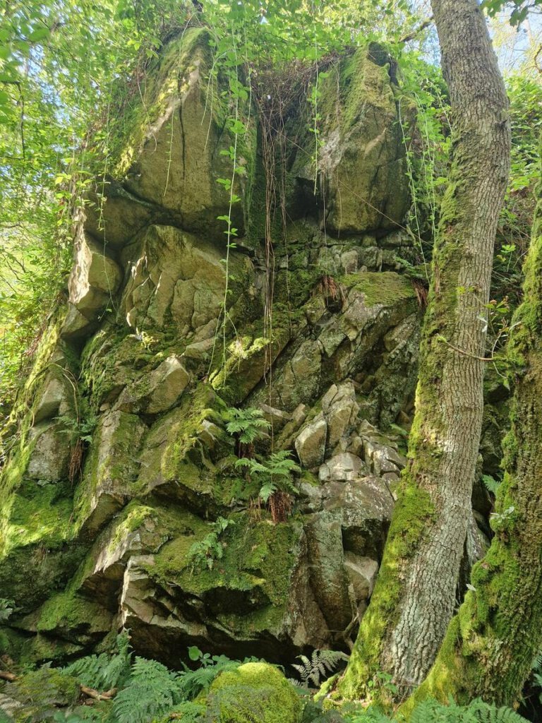Marrault – Avallon – Marrault
