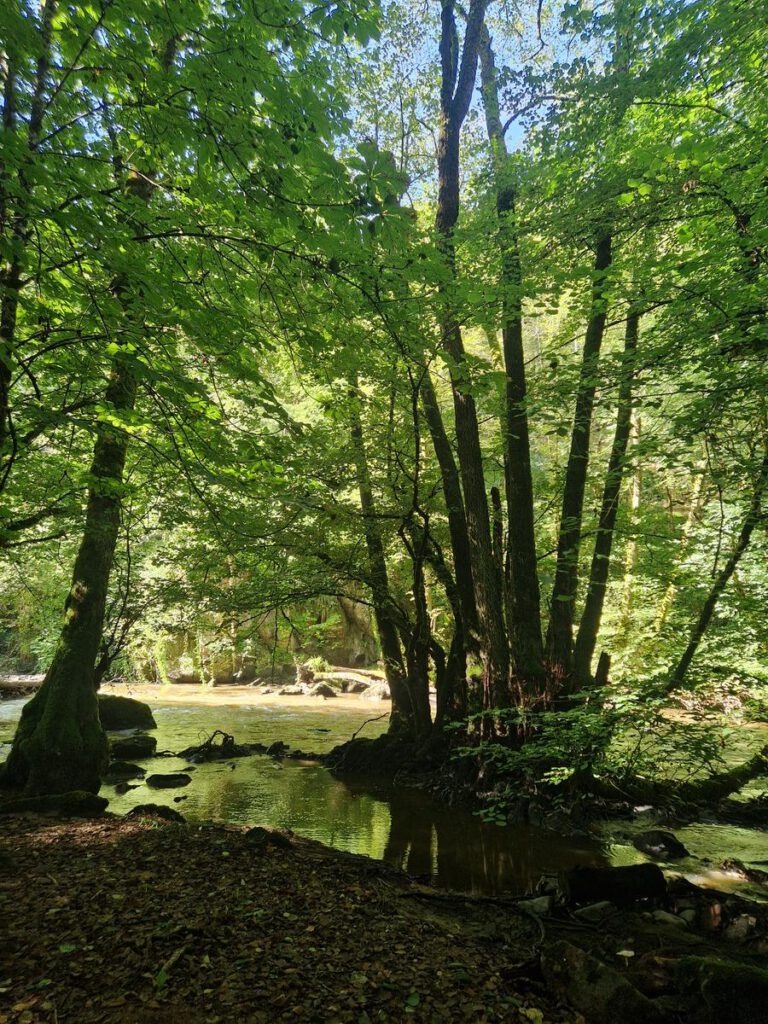 Marrault – Avallon – Marrault