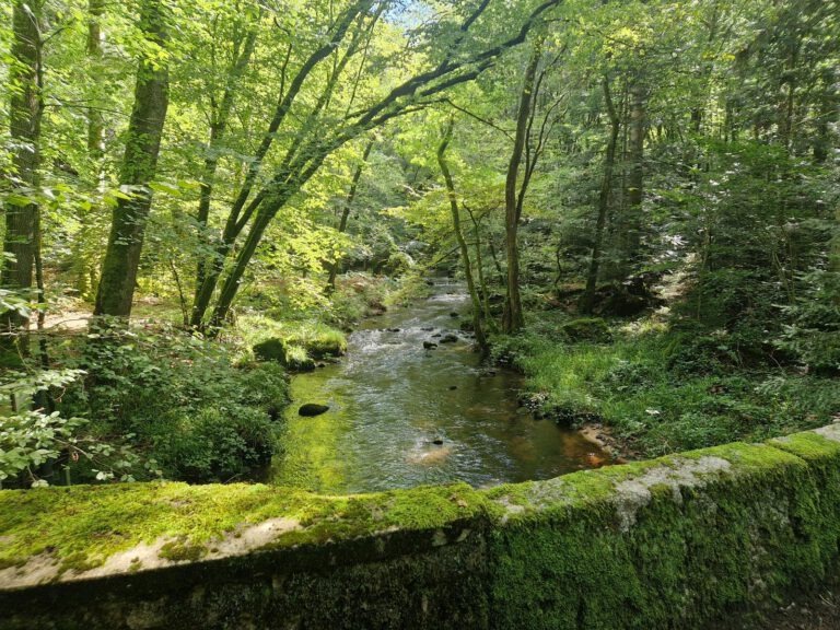 Abbaye de la Pierre-qui-Vire