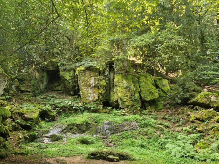 Abbaye de la Pierre-qui-Vire