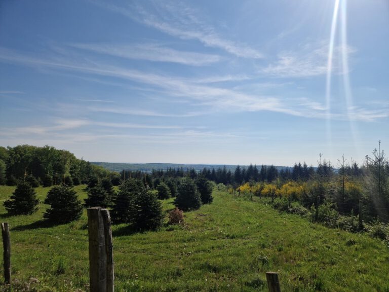 Tour Morvan Nord – Dag 3