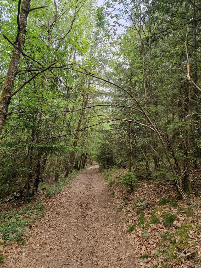 Tour Morvan Nord – Dag 3