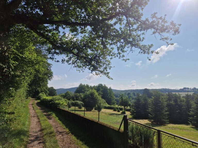 Dun-les-Places – chapelle de Saint Marc