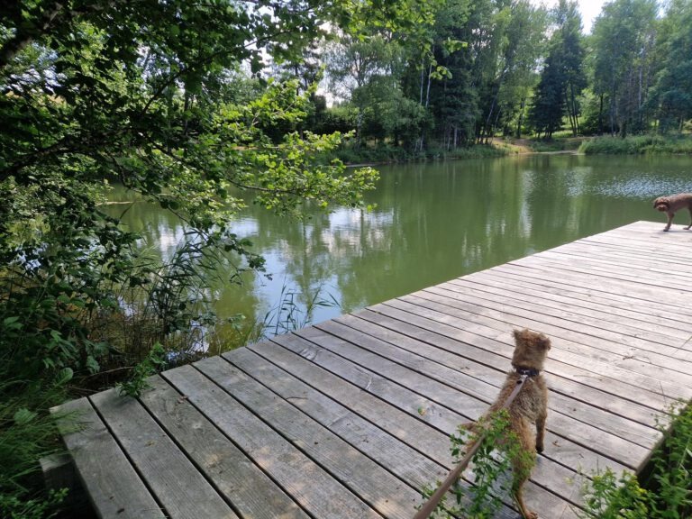 Dun-les-Places – chapelle de Saint Marc