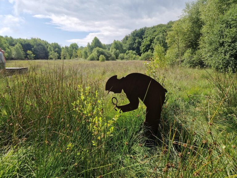 Sources de l’Yonne