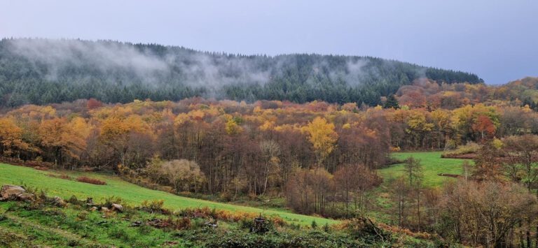 Etang du Griottier Blanc