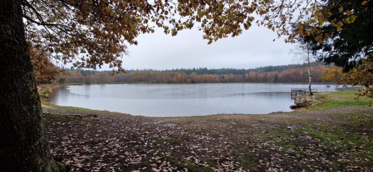 Etang du Griottier Blanc