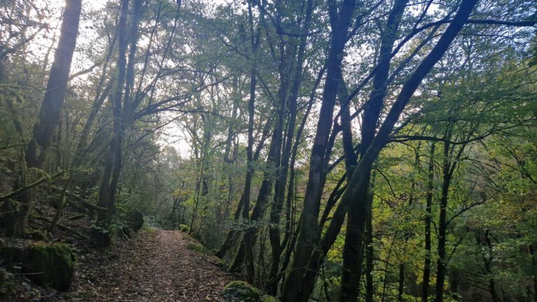 Les Haut des Lormes