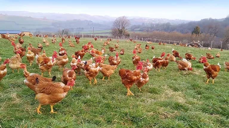 La Ferme de la Métairie