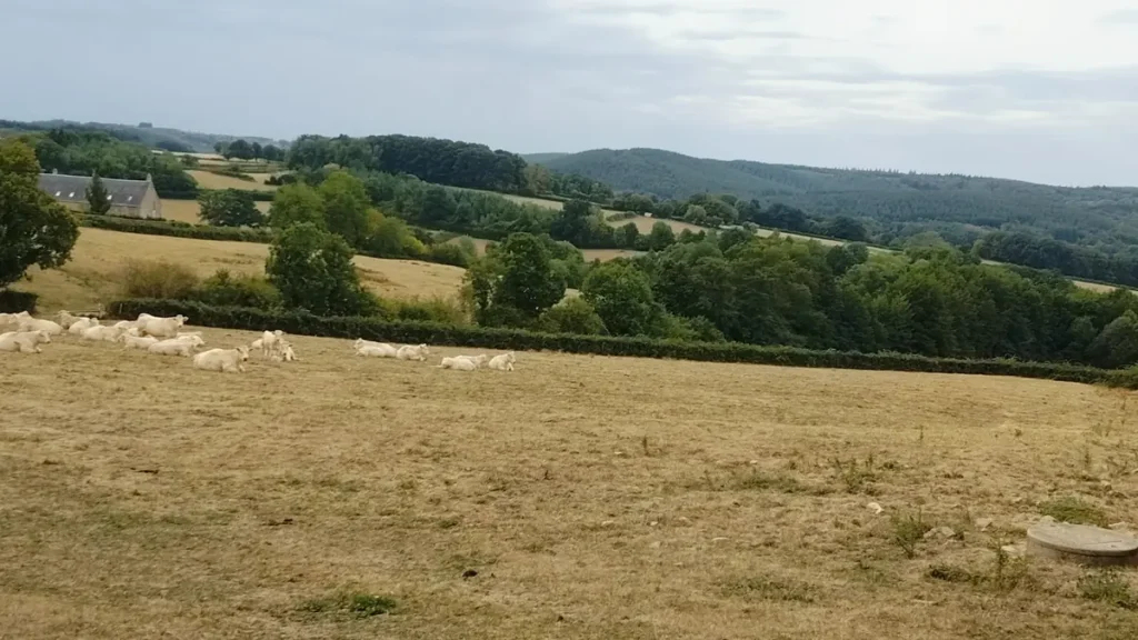 Saint-Léger-Vauban – 5,2 km