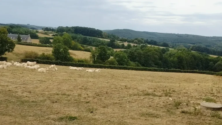 Saint-Léger-Vauban – 5,2 km