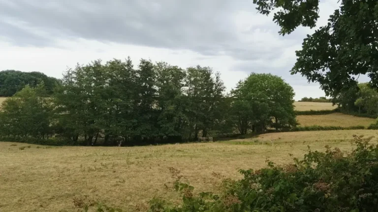 Saint-Léger-Vauban – 5,2 km