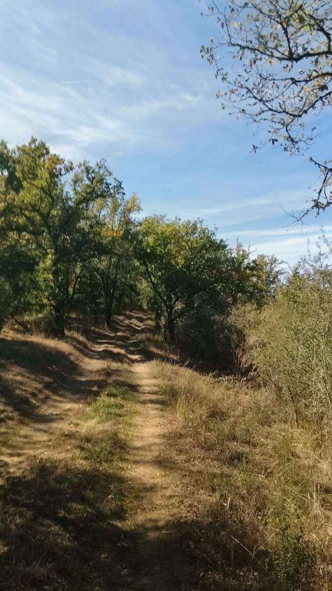 Sansange 10km