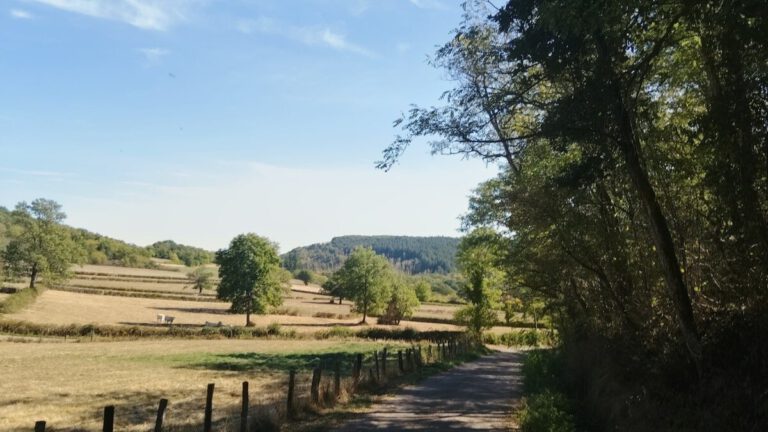 Sansange 10km