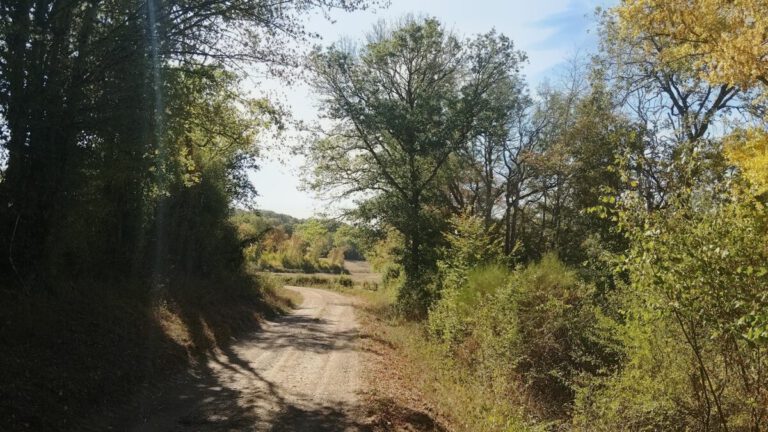Sansange 10km