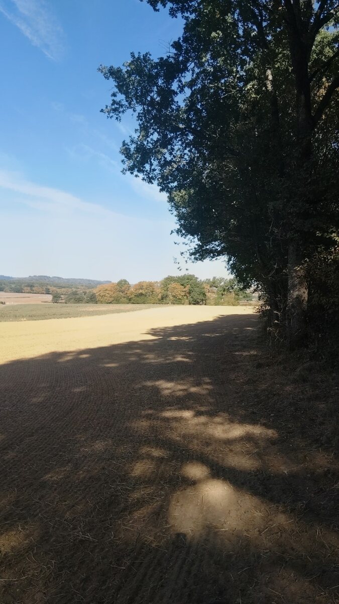 Sansange 10km