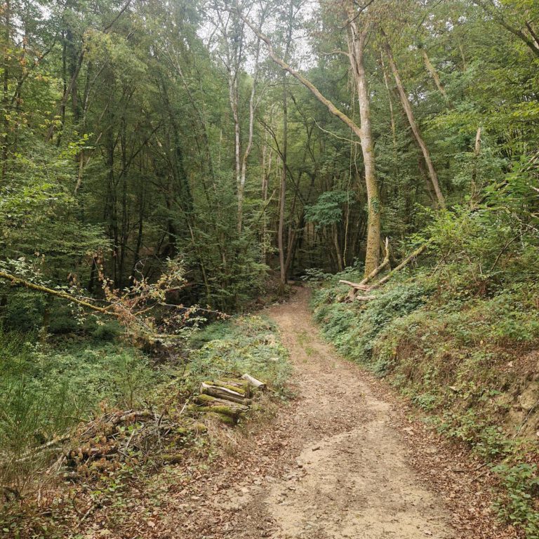 Saint-André- en-Morvan