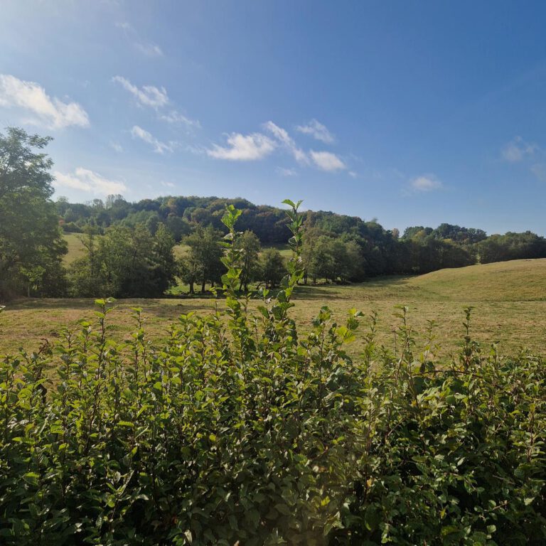 Saint-André- en-Morvan