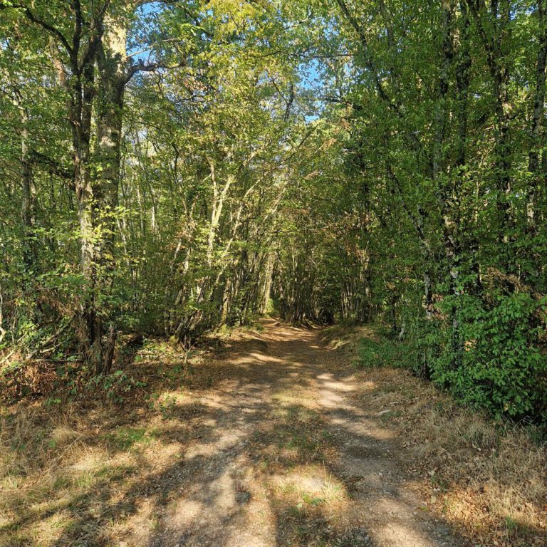 Saint-André- en-Morvan