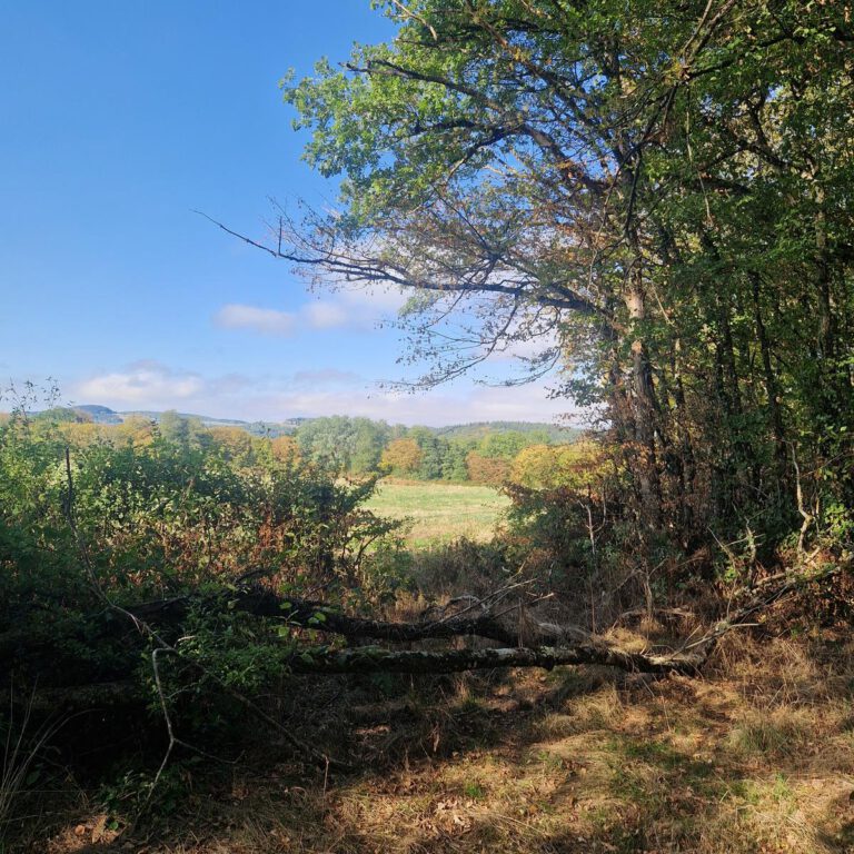Saint-André- en-Morvan