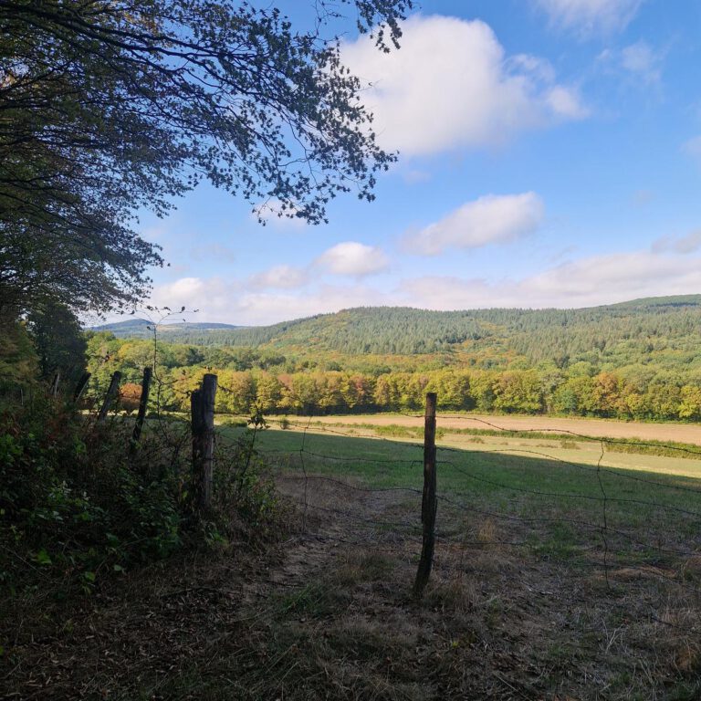 Saint-André- en-Morvan