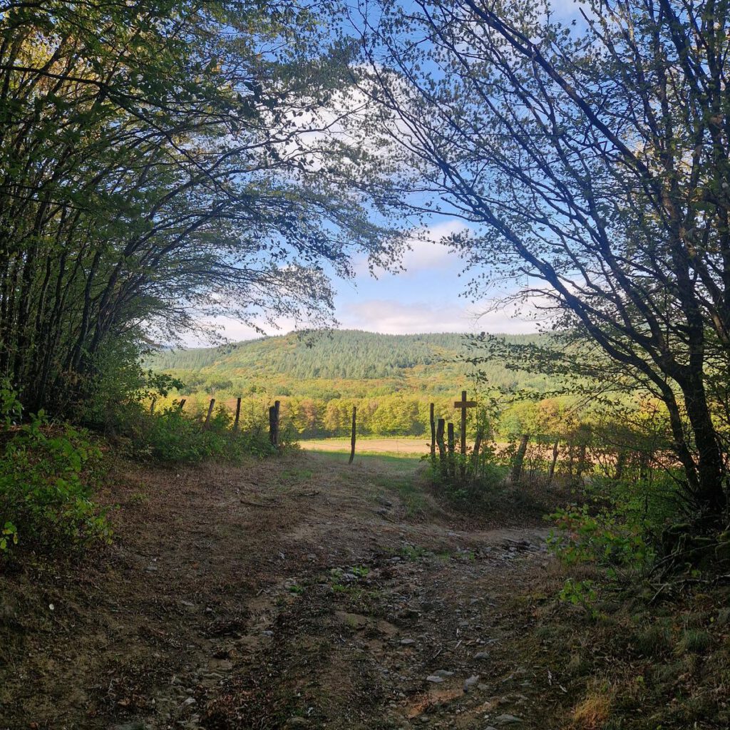 Saint-André- en-Morvan